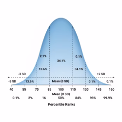 Corgi Enrichment Planner Corgi-Intelligent