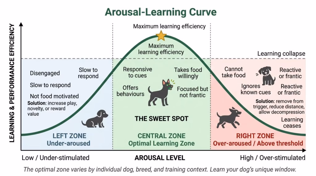 Building a Lifelong Bond & Leadership.A graph showing an inverted U-shaped curve plotting arousal level on the horizontal axis against learning and performance efficiency on the vertical axis. Three colour-coded zones are marked beneath the curve: an under-aroused zone on the left, an optimal learning zone in the centre highlighted in green, and an over-aroused zone on the right. Each zone includes a small dog silhouette and bullet-point annotations describing observable behaviour at that arousal level.