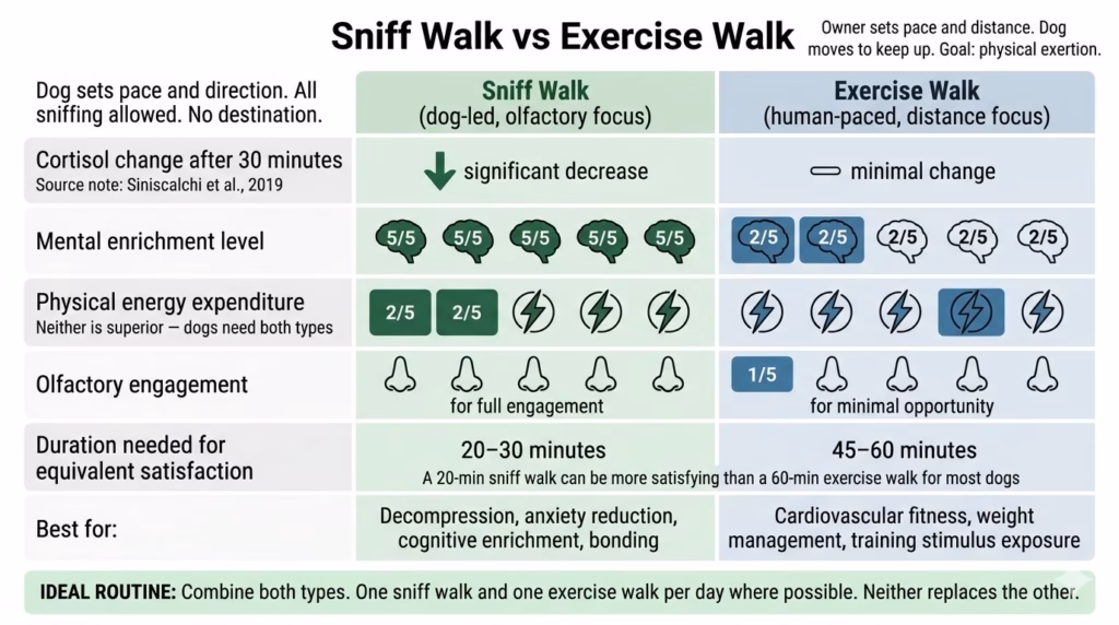 Building a Lifelong Bond & Leadership. A two-column comparison infographic contrasting sniff walks and exercise walks across six dimensions: cortisol reduction, mental enrichment, physical energy expenditure, olfactory engagement, duration needed for equivalent satisfaction, and best use case. The sniff walk column scores higher on cortisol reduction, mental enrichment, and olfactory engagement. The exercise walk column scores higher on physical energy expenditure. A recommendation box at the bottom advises combining both walk types daily.