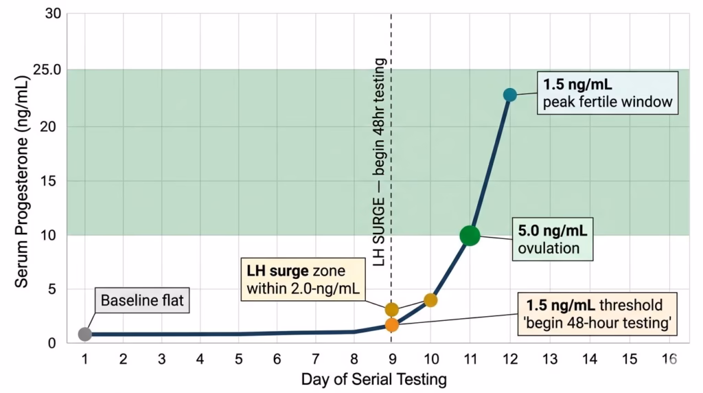 Heat Cycle and Ovulation. Line graph of a representative canine progesterone curve showing flat baseline readings for the first eight days of serial testing followed by a steep exponential rise to ovulation at approximately 5.0 nanograms per millilitre and a peak fertile window between 10 and 25 nanograms per millilitre, with five key milestone markers highlighted.